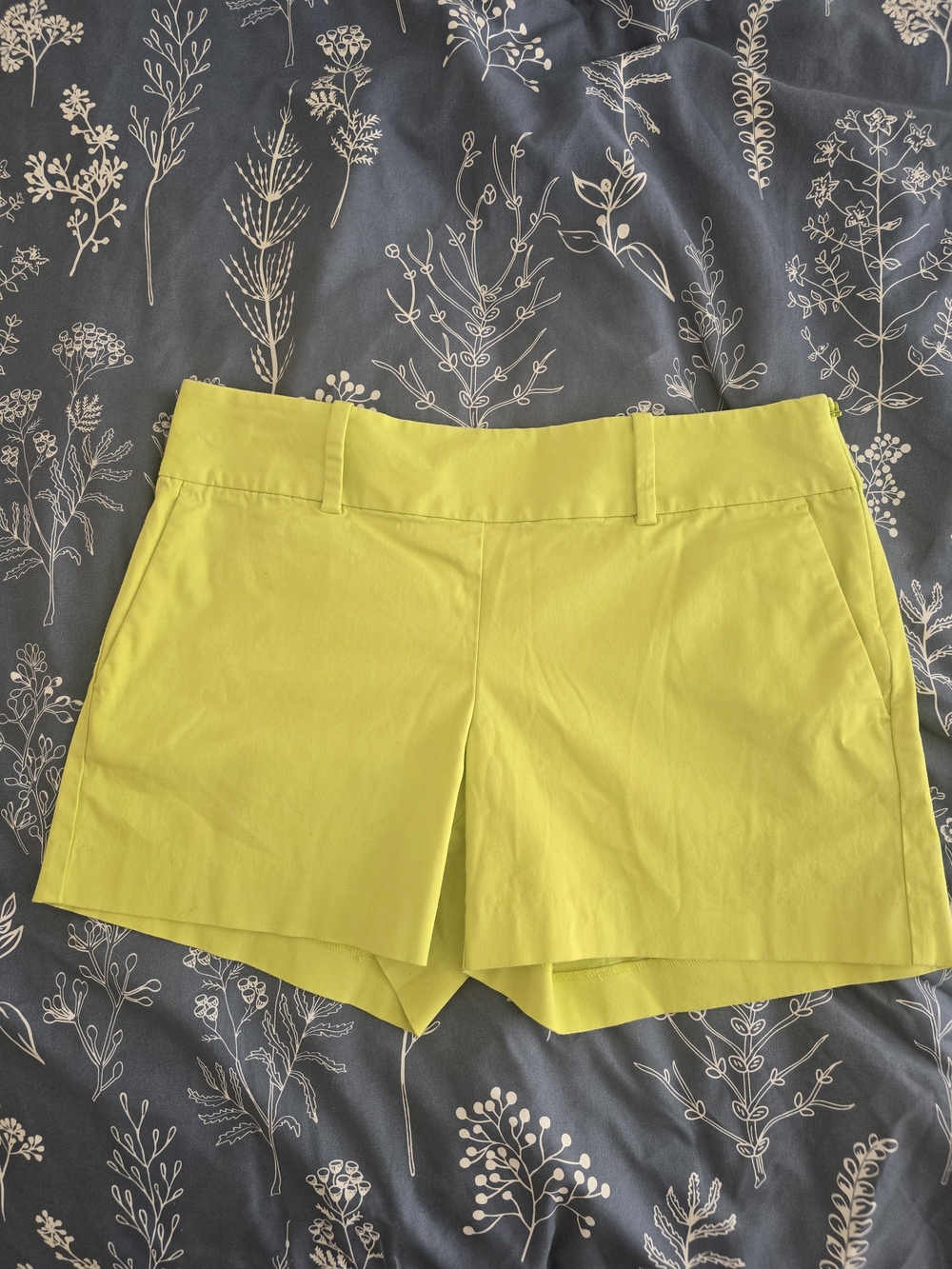Ann Taylor Lime Green Tailored Women's Shorts